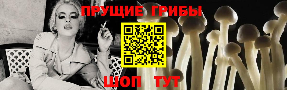 Галлюциногенные грибы мухоморы Усть-Илимск